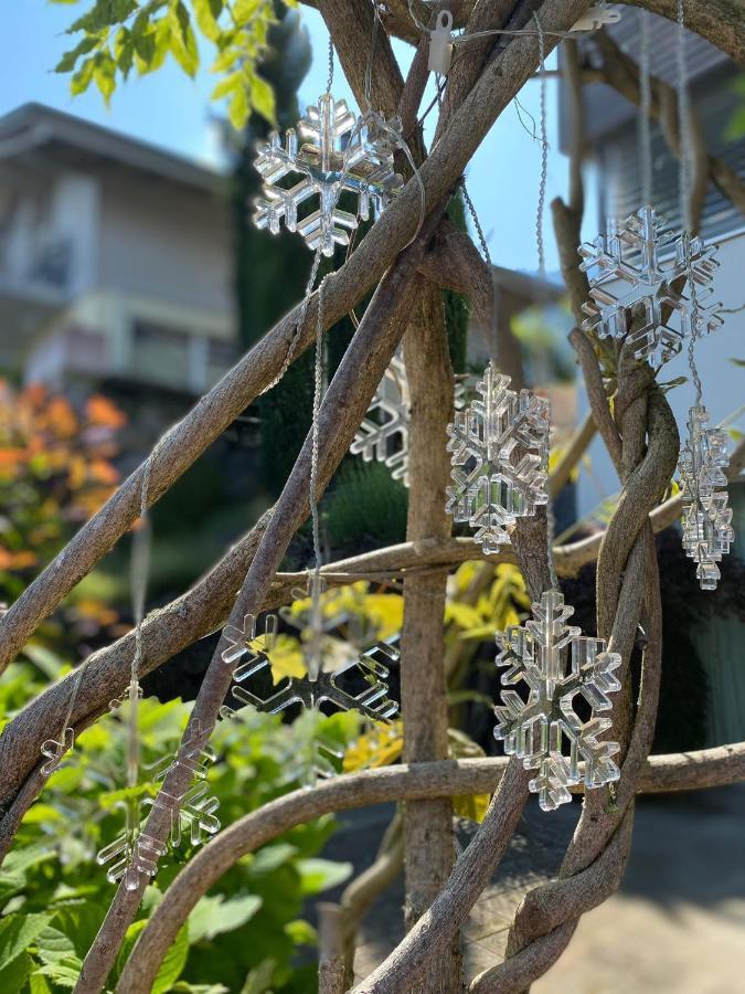 Snowflake Лайссиген Экстерьер фото